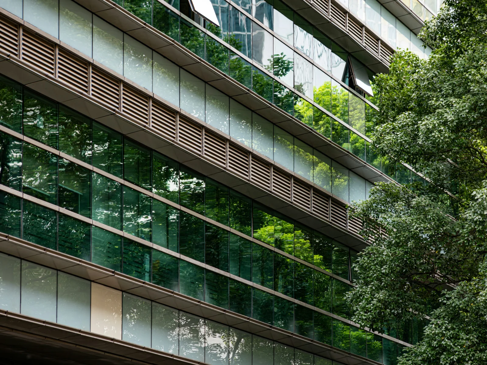 Architecture vitrée et végétation, reflet d’un environnement soigné